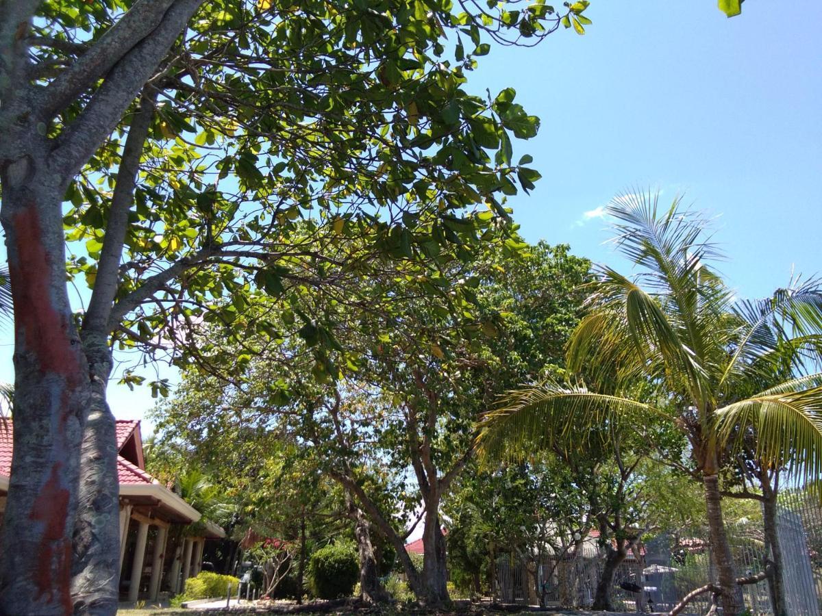 Bed and Breakfast Ancelle Cristo Re Moalboal Exterior foto